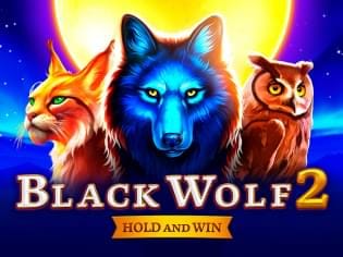 Black Wolf 2 icon